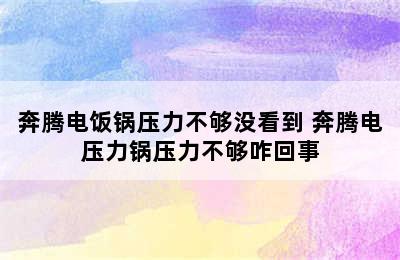 奔腾电饭锅压力不够没看到 奔腾电压力锅压力不够咋回事